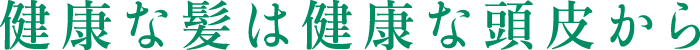 健康な髪は健康な頭皮から